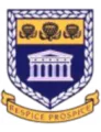 西开普大学女足