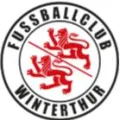 温特图尔U19