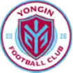 龙仁FC